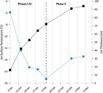 Methane pumping by rapidly refreezing lead ice in the ice-covered Arctic Ocean